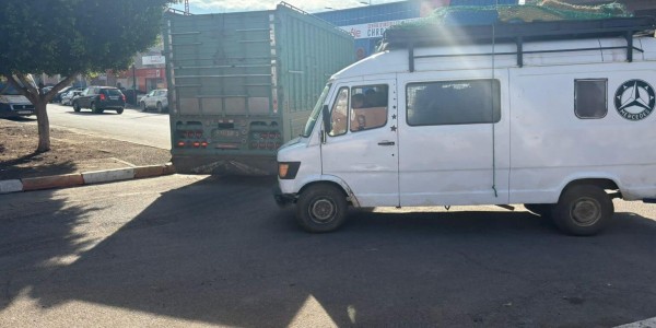 开云APP-TA：为筹备2030年世界杯，摩洛哥正在全国范围内扑杀流浪狗